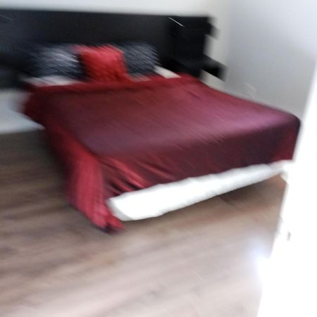 The Basement By The Side Door Guest House Ottawa Ngoại thất bức ảnh